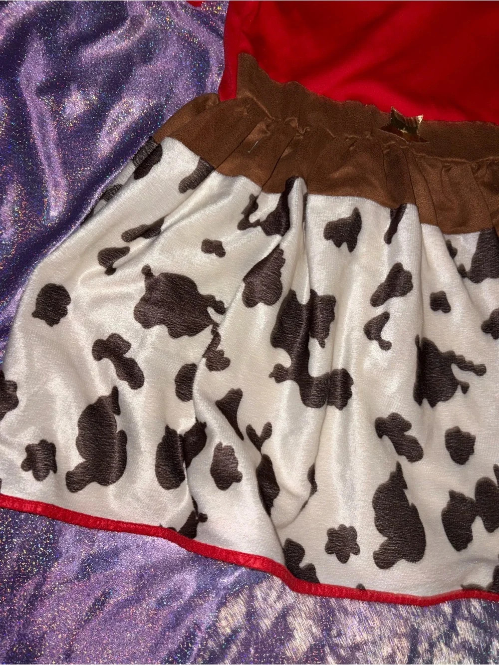 Cowgirl Dress Halloween Costume